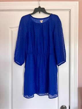 J. Crew Royal Blue Textured Sheer Sleeve Dress
